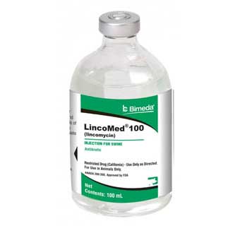 LINCOMED® 100 INJECTABLE 100 ML 1/PKG