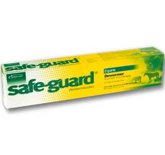 SAFE-GUARD® PASTE 10% 92 G 1/PKG