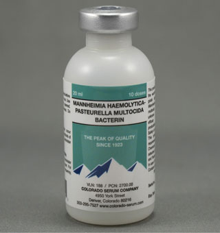 HAEMOLYTICA/PASTEURELLA MULTOCIDA BACTERIN VACCINE 20 ML 10 DS