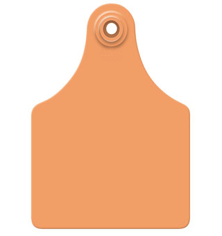 ALLFLEX® GLOBAL MAXI FEMALE CATTLE EAR TAG ORANGE BLANK 25/PKG