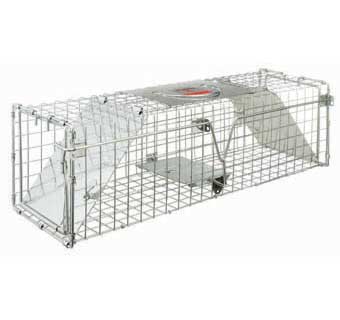 DOUBLE-DOOR ENTRY LIVE ANIMAL TRAP 24 IN L X 7 IN W X 7 IN H 1/PKG