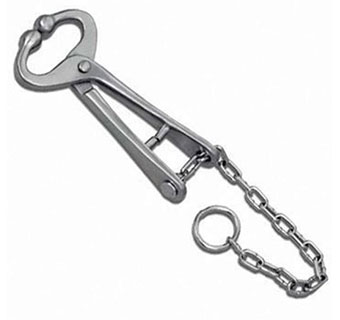 BULL LEAD WITH CHAIN - 13½IN - EACH