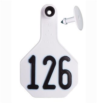 ALL-AMERICAN® 2-PIECE 3-STAR COMBO TAG MED 126-150 WHITE 25/PKG