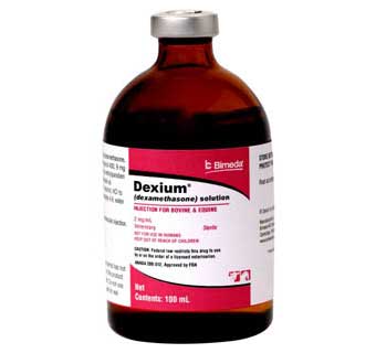 DEXIUM® (DEXAMETHASONE SOLUTION) INJECTION 2 MG (RX) 100 ML
