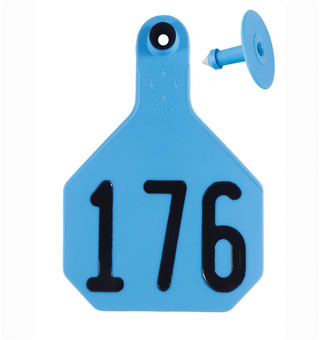 ALL-AMERICAN® 2-PIECE 4-STAR COMBO TAG HS L 176-200 BLUE 25/PKG