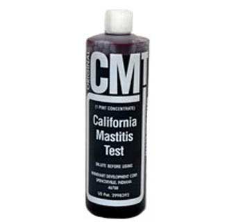 CMT CONCENTRATE PINT
