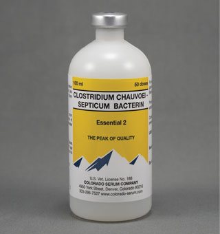 ESSENTIAL 2 CHAUVOEI-SEPTICUM BACTERIN VACCINE 100 ML 50 DS