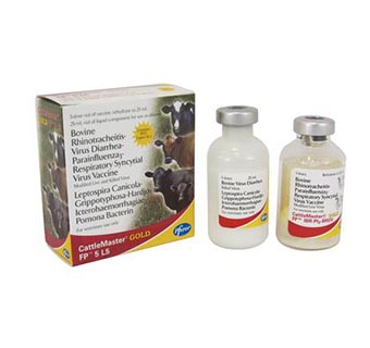 CATTLEMASTER® GOLD FP® 5 L5 5 DOSES