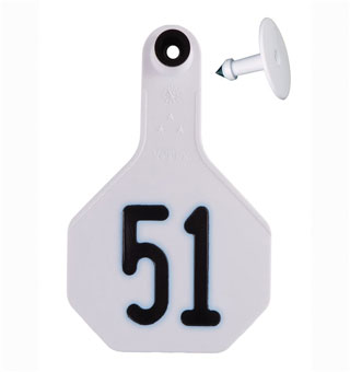 ALL-AMERICAN® 2-PIECE 3-STAR COMBO TAG MED 51-75 WHITE 25/PKG