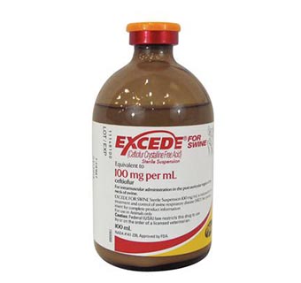 EXCEDE® FOR SWINE 100 ML (RX)