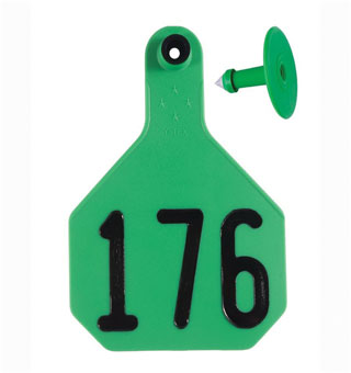 ALL-AMERICAN® 2-PIECE 4-STAR COMBO TAG HS L 176-200 GREEN 25/PKG