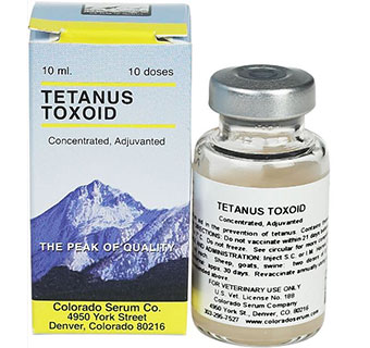 TETANUS TOXOID - CONCENTRATED - 10 DOSES