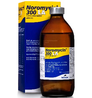 NOROMYCIN® 300 LA (OXYTETRACYCLINE INJECTION) 500 ML 1/PKG