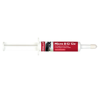 MICRO B12 12X PASTE - 34GM SYRINGE - EACH