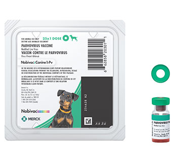 NOBIVAC® CANINE 1-PV 25 X 1 ML DOSE