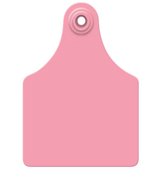 GLOBAL MAXI FEMALE + SMALL MALE - BLANK - PINK- 25/BAG