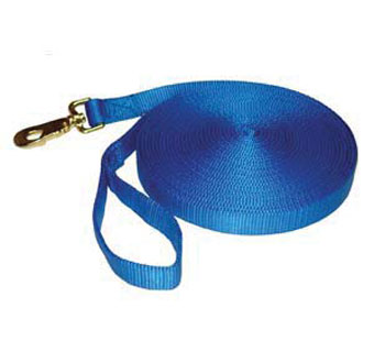 30E LUNGE LINE WITH SWIVEL SNAP 30 FT BLUE