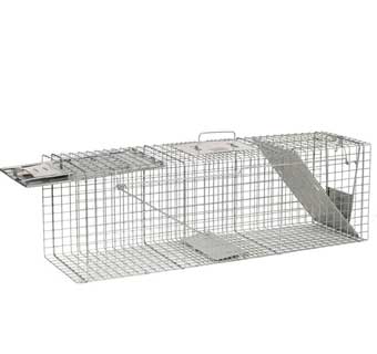 HAVAHART® LARGE 2-DOOR ANIMAL TRAP 12.75 LB