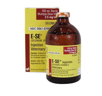 E-SE® INJECTION 100 ML (RX)