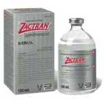 ZACTRAN® INJECTABLE (GAMITHROMYCIN) 500 ML RX