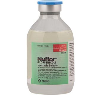 NUFLOR® INJECTABLE 300MG/250 ML (RX)