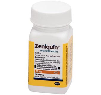 ZENIQUIN® 25 MG 100/BOTTLE (RX)