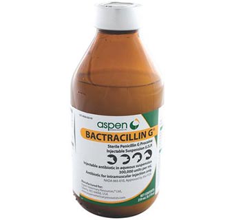 BACTRACILLIN G™ INJECTABLE SUSPENSION U.S.P. 250 ML