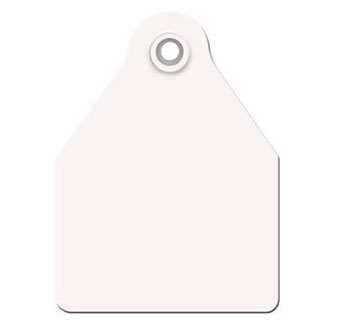 AGRITAG® BLANK MAXI COW TAG - WHITE - 25/BAG