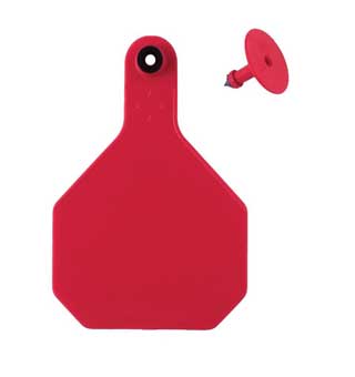ALL-AMERICAN® 2-PIECE 4-STAR COMBO BLANK TAG L POLYURETHANE RED 25/PKG