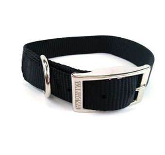 740 SINGLE LAYER DOG COLLAR NYLON 22 IN X 1 IN BLUE