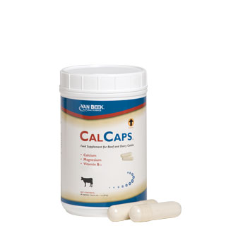 CALCAPS® FEED SUPPLEMENT - 40/BOTTLE