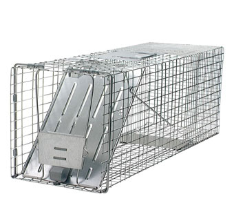 HAVAHART® LARGE 1-DOOR ANIMAL TRAP 9.95 LB