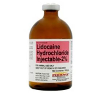 LIDOCAINE HCL 2% INJECTION 100 ML 1/PKG (RX)