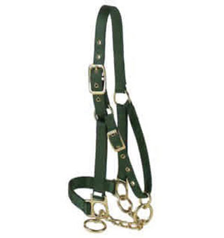 19 P NYLON CONTROL BULL HALTER WITH CHAIN 1 IN BLUE