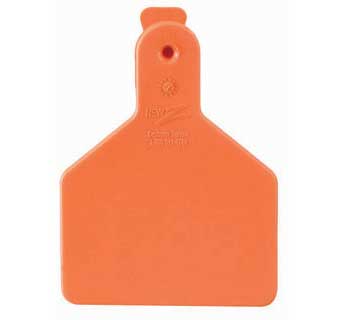 ONE-PIECE CALF EAR TAGS BLANK ORANGE EACH