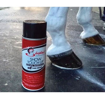 SHOW TOUCH UP 10 OZ AEROSOL CAN BLACK