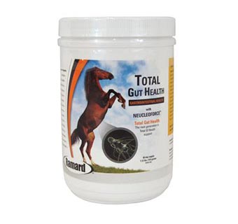TOTAL GUT HEALTH 1.12 LB (30 DAY SUPPLY)