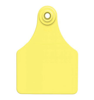 LIVESTOCK INTELLIGENCE™ FEMALE GLOBAL TAG L 151-175 WITH S MALE BLUE