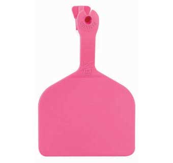 ONE-PIECE FEEDLOT EAR TAGS BLANK PINK 50 COUNT