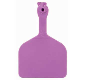 ONE-PIECE FEEDLOT EAR TAGS BLANK PURPLE EACH