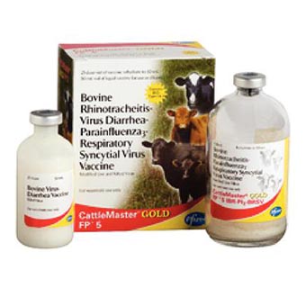 CATTLEMASTER® GOLD FP® 5 25 DOSES