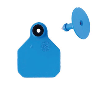 ALL-AMERICAN® 2-PIECE 1-STAR COMBO BLANK TAG MINI BLUE 25/PKG