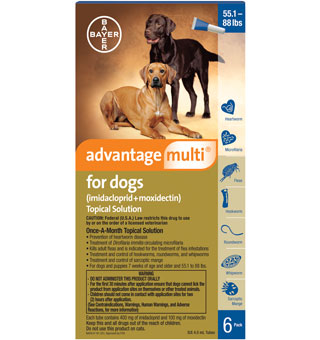 ADVANTAGE MULTI® FOR DOGS 55.1-88 LB # BLUE 6 PACK (AGENCY)