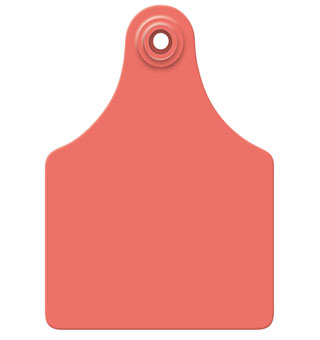 ALLFLEX® GLOBAL MAXI FEMALE CATTLE EAR TAG RED BLANK 25/PKG