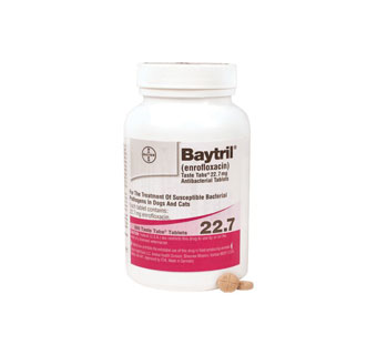 BAYTRIL® ENROFLOXACIN ABX TABLETS TASTE TAB® COAT 22.7 MG (RX) 100/BT
