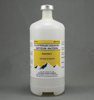 ESSENTIAL 2 CHAUVOEI-SEPTICUM BACTERIN VACCINE 500 ML 250 DS