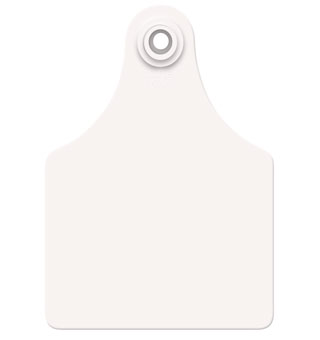 ALLFLEX® GLOBAL MAXI FEMALE CATTLE EAR TAG WHITE BLANK 25/PKG