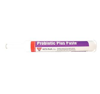 PROBIOS® BOVINE ONE ORAL GEL 300 G