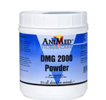 DMG 2000 POWDER - 2.5LB - EACH