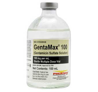GENTAMAX® 100 (RX) - 100ML - EACH